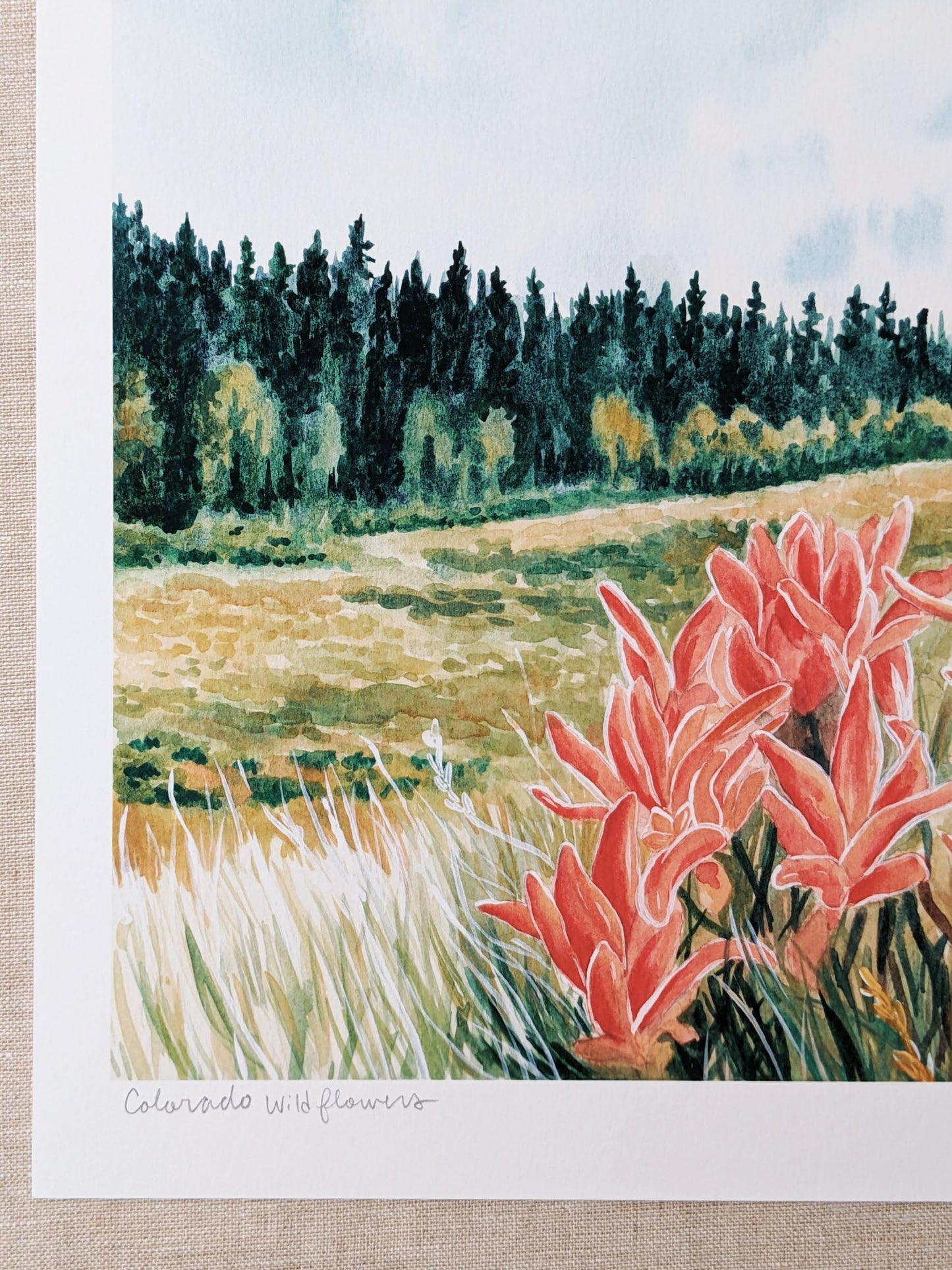 Colorado Wildflowers - Fine Art Print - Kim Everhard Art