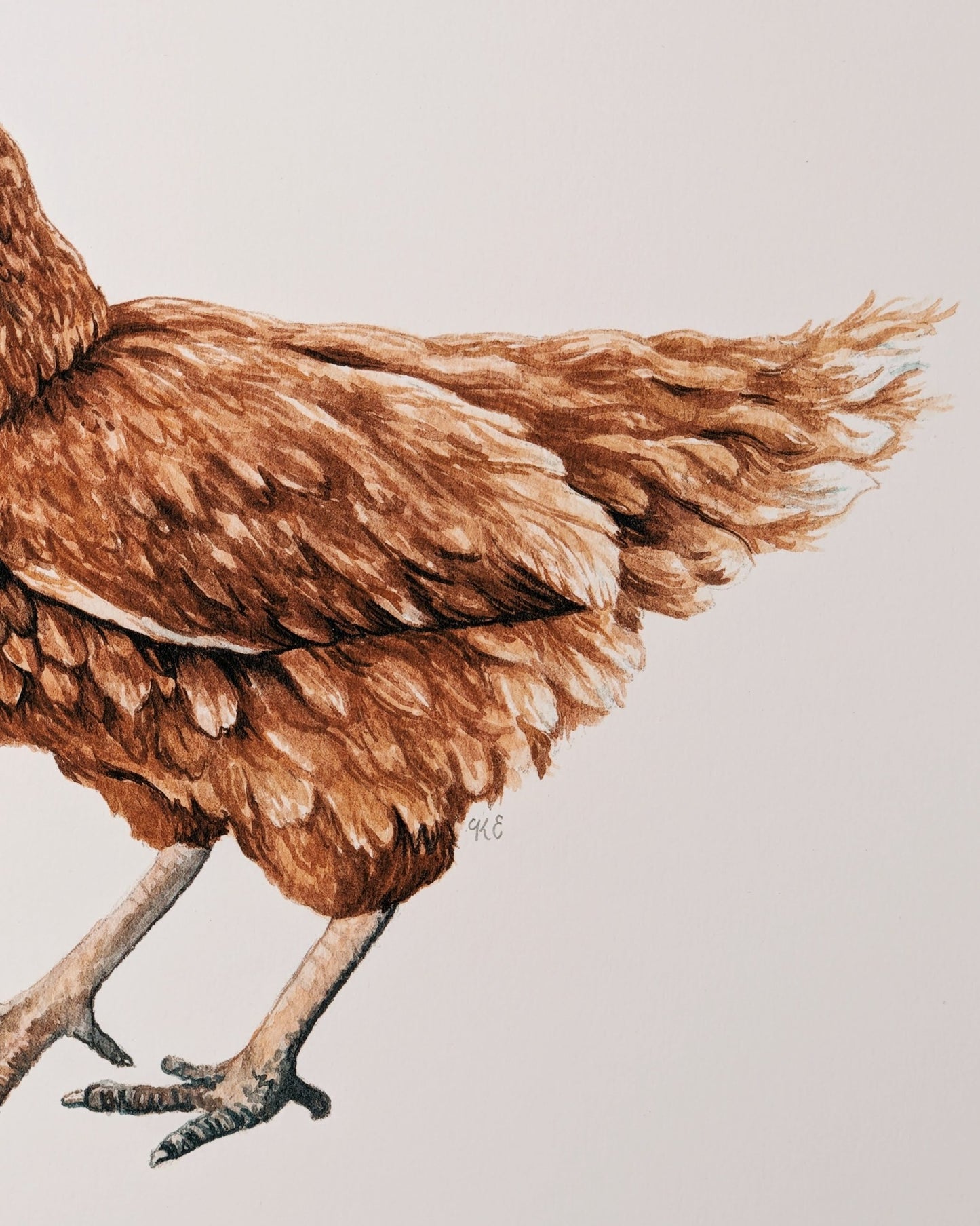 Chicken - Fine Art Print - Kim Everhard Art