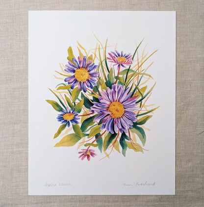 Alpine Daisies - Fine Art Print - Kim Everhard Art