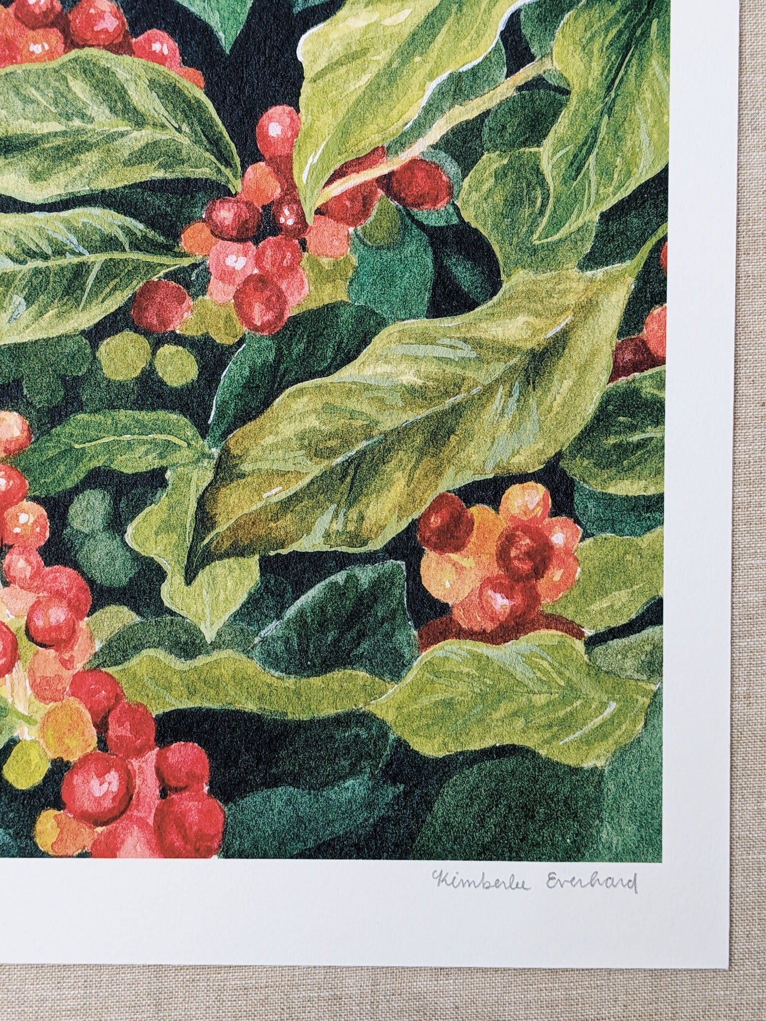 Coffee Plant - Fine Art Print - Kim Everhard Art