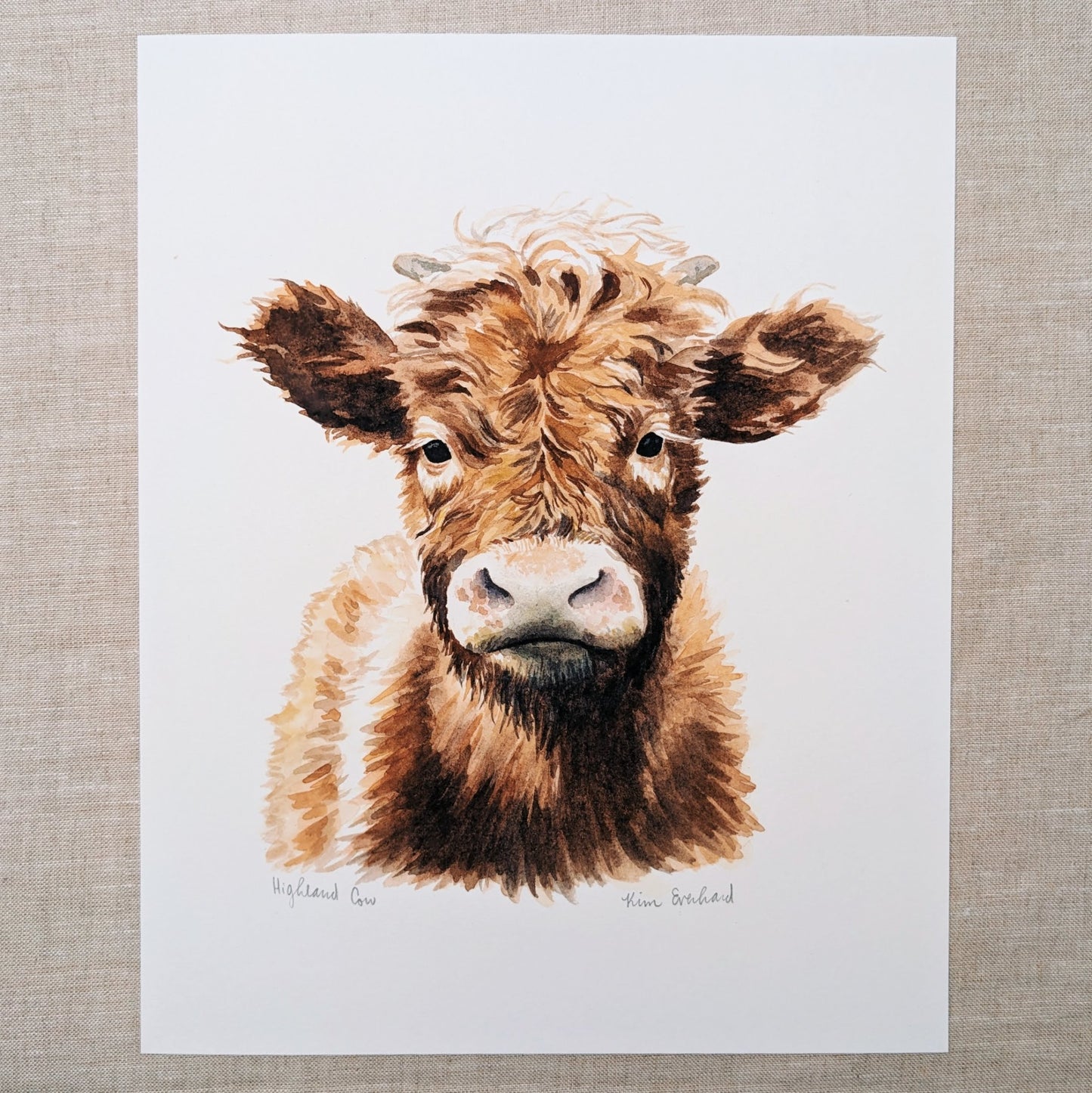 Highland Cow - Fine Art Print - Kim Everhard Art