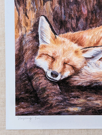 Sleeping Fox - Art Print - Kim Everhard Art