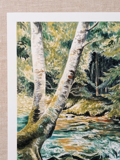 Woodland Serenity | Dolly Sods - Art Print - Kim Everhard Art