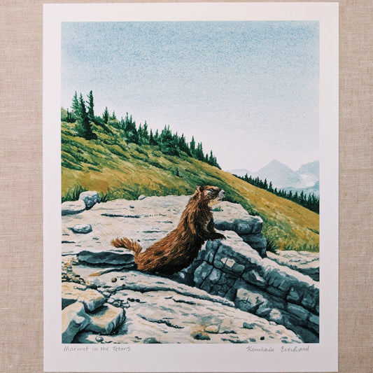 Marmot in Grand Teton - Fine Art Print - Kim Everhard Art