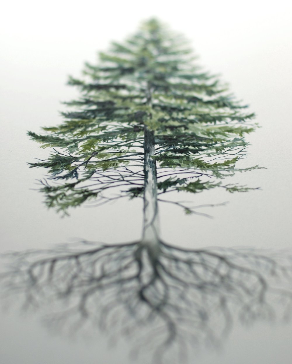 Rooted Pine - Original Painting - 12x18" – Kim Everhard Art
