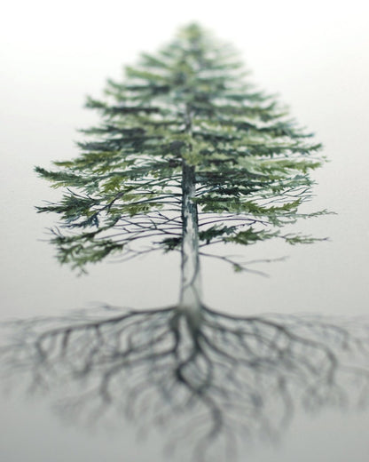 Rooted Pine - Original Painting - 12x18" - Kim Everhard Art