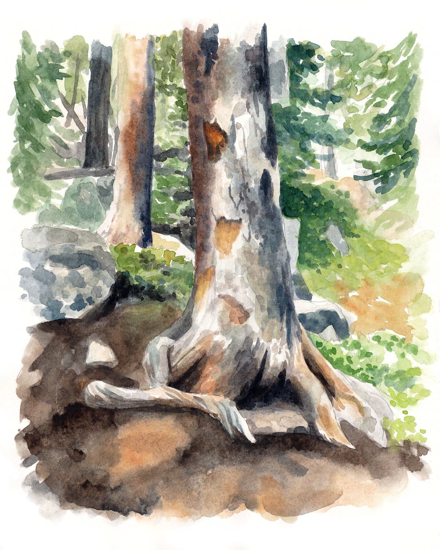 Storybook Woods - Original Painting - Kim Everhard Art