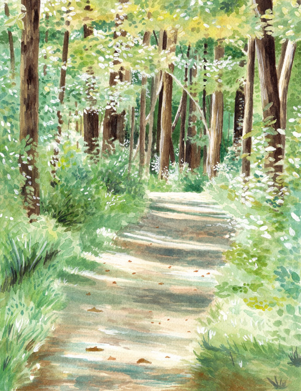 Summer Trails - Original Painting - 11x14" - Kim Everhard Art